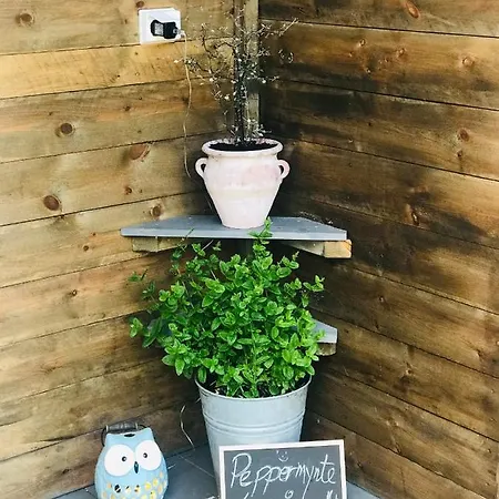 Holiday park Yogalava Glamping