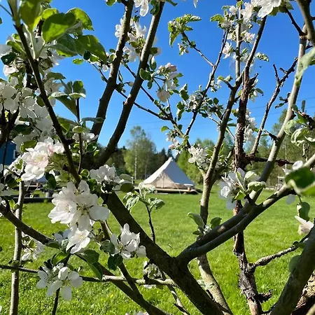 Yogalava Glamping Drangedal
